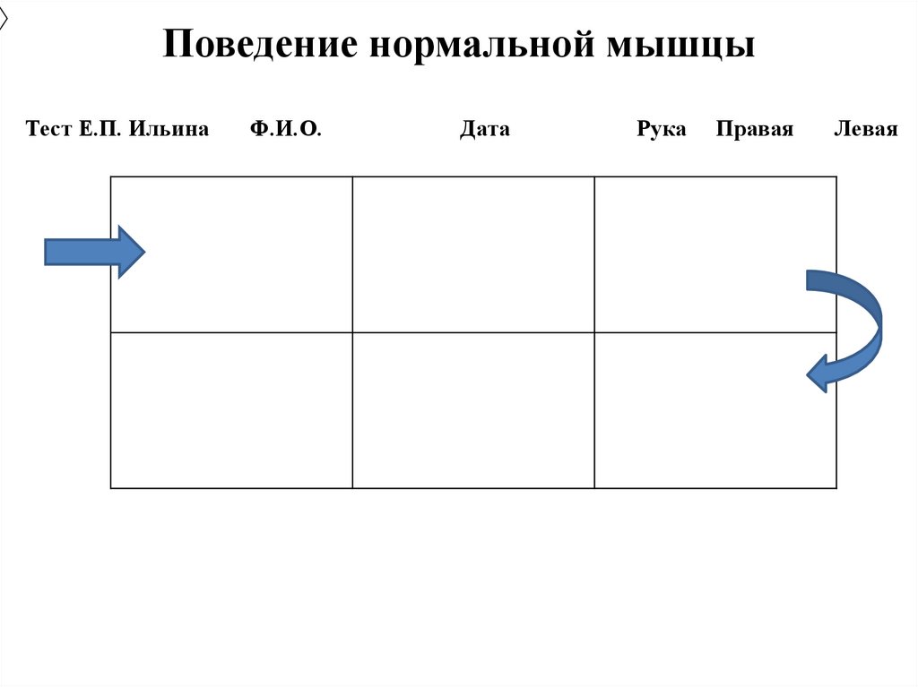 Поведение нормальной мышцы