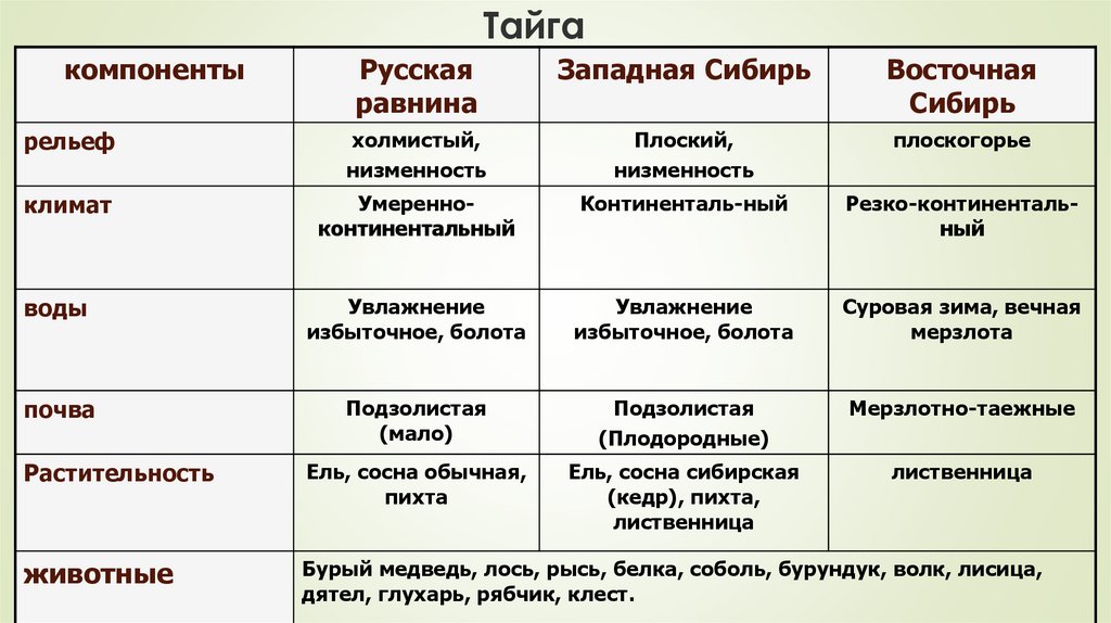 География 8 класс 46 параграф лесные зоны. Лесные зоны таблица 8 класс.