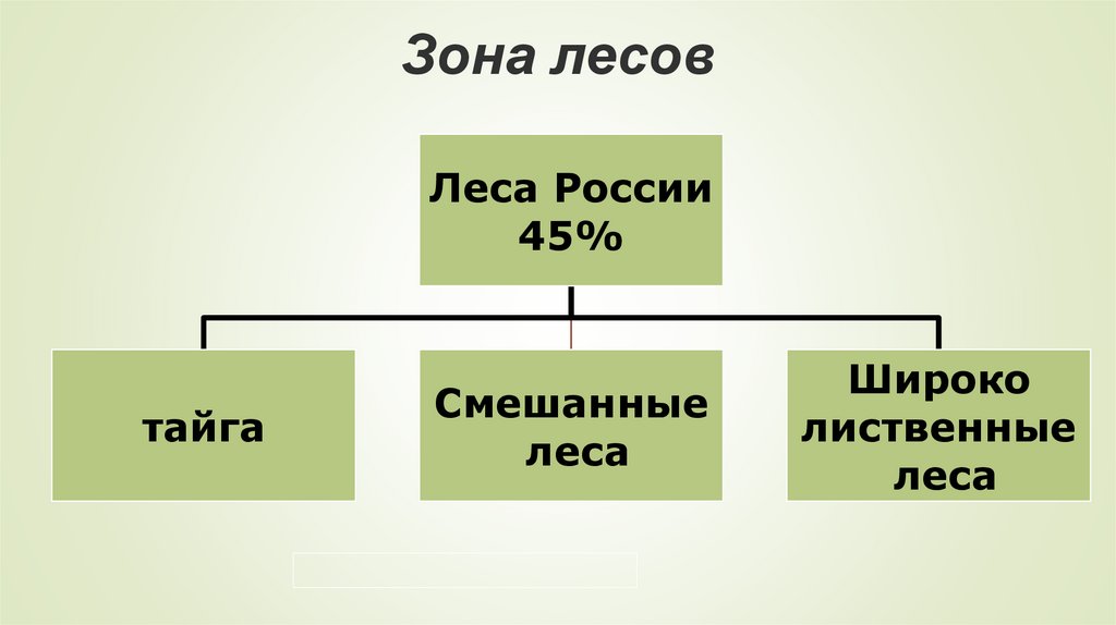 Тест лесные зоны россии. Широколиственные леса таблица 8 класс география. Таблица леса России 8 класс география.
