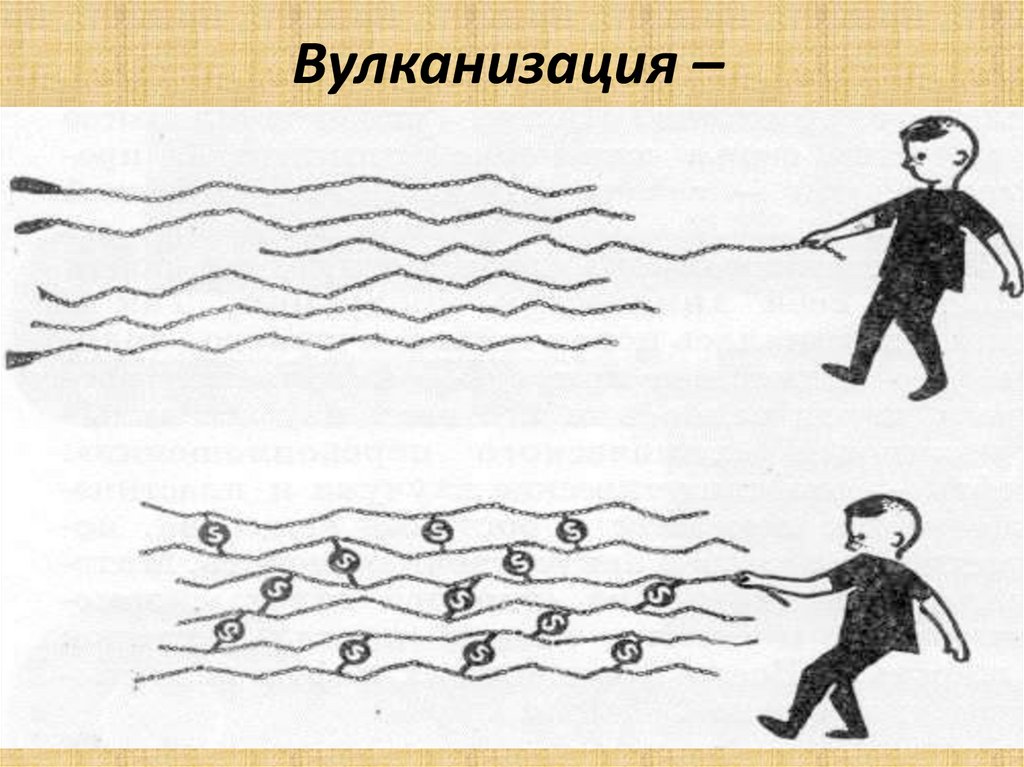 Каучуки - презентация онлайн