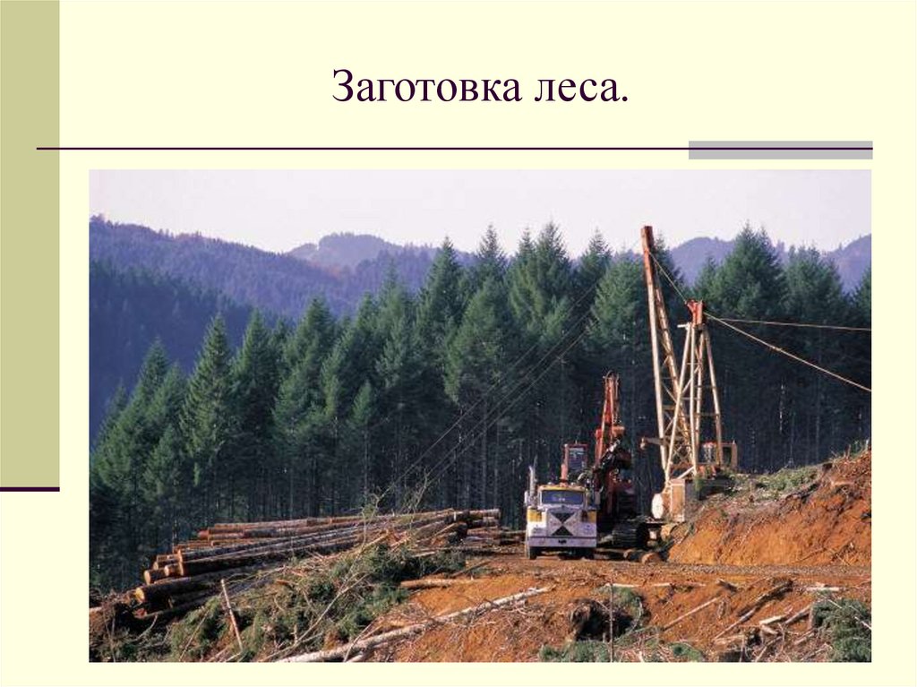 Заготовка леса.