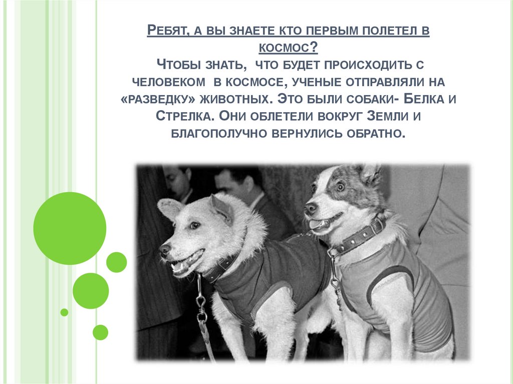 Ребят, а вы знаете кто первым полетел в космос? Чтобы знать, что будет происходить с человеком в космосе, ученые отправляли на