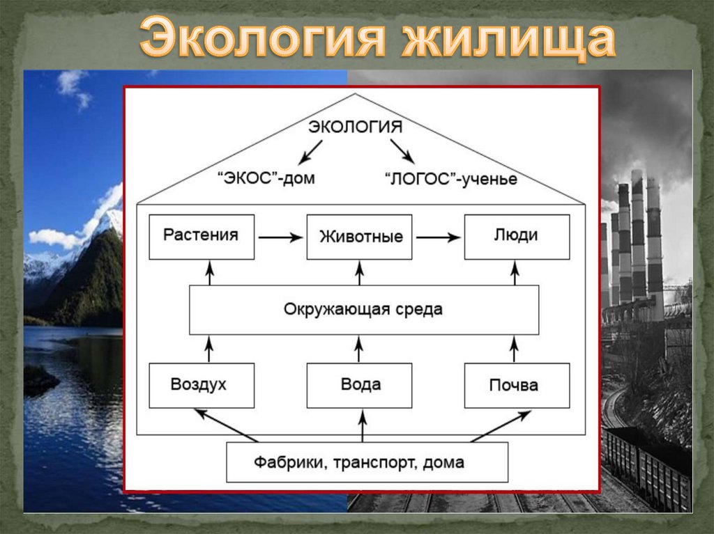 Экология дома презентация