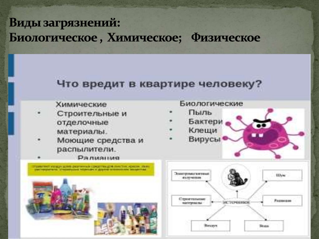 Виды загрязнений: Биологическое , Химическое; Физическое
