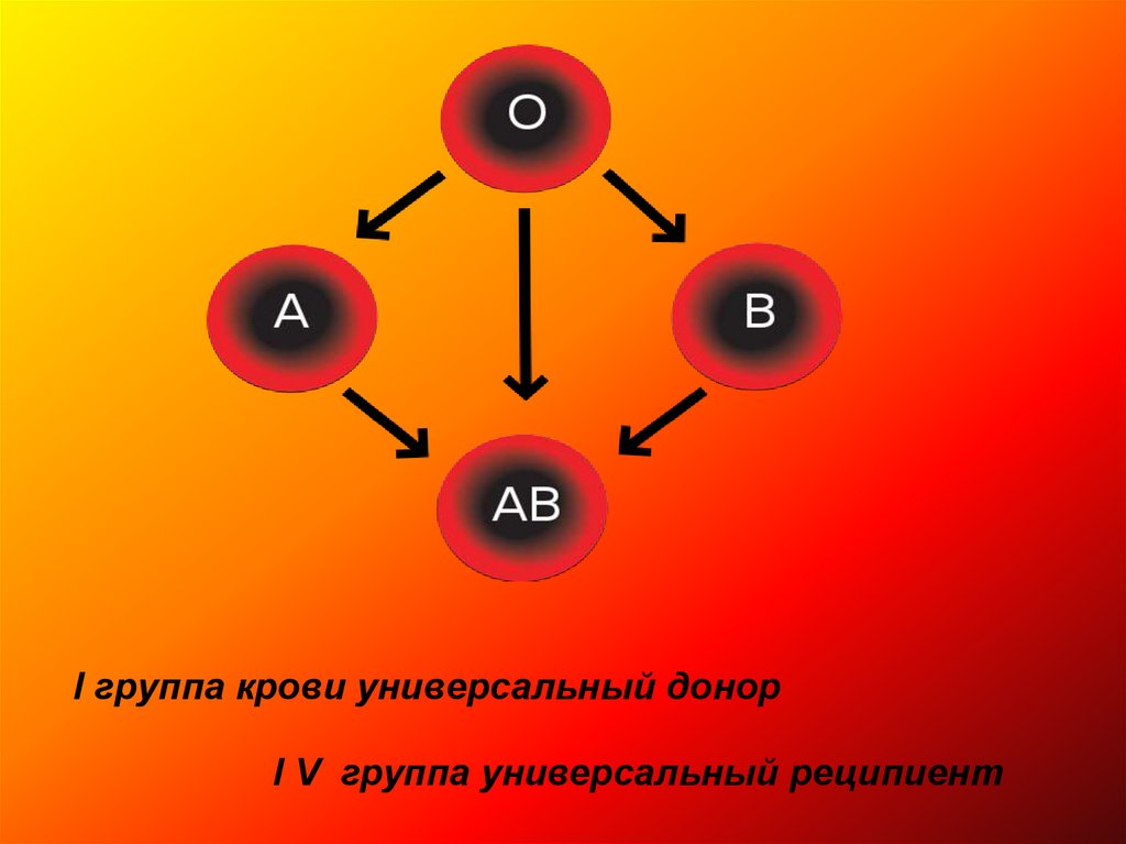 Резус фактор донор группа крови. Реципиент 1 группы крови. Донором и реципиентом 1 группа крови. Универсальный донор и реципиент группа крови. Универсальный донор группа крови.