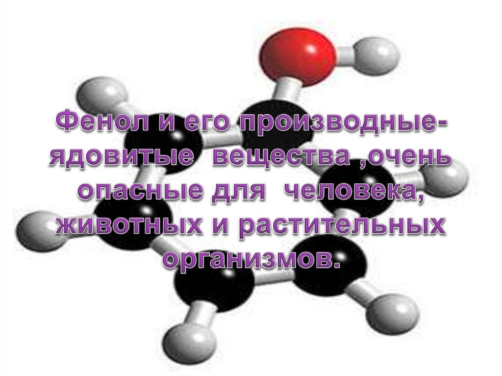 Фенол и его производные- ядовитые вещества ,очень опасные для человека, животных и растительных организмов.