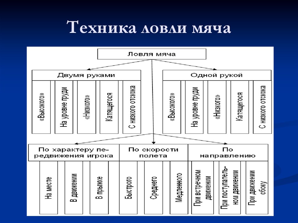 Техника ловли мяча. Классификация техники ловли мяча в баскетболе. Классификация техники ловли мяча.