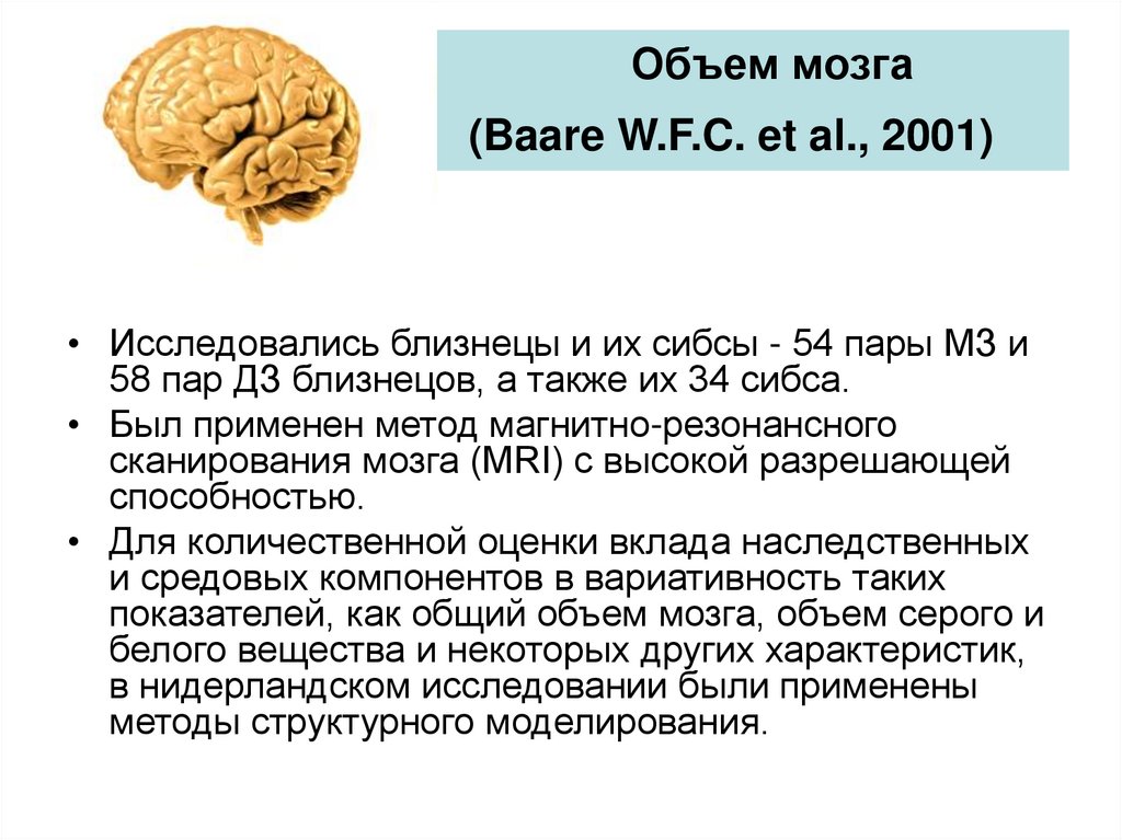 Размер мозга древнего человека