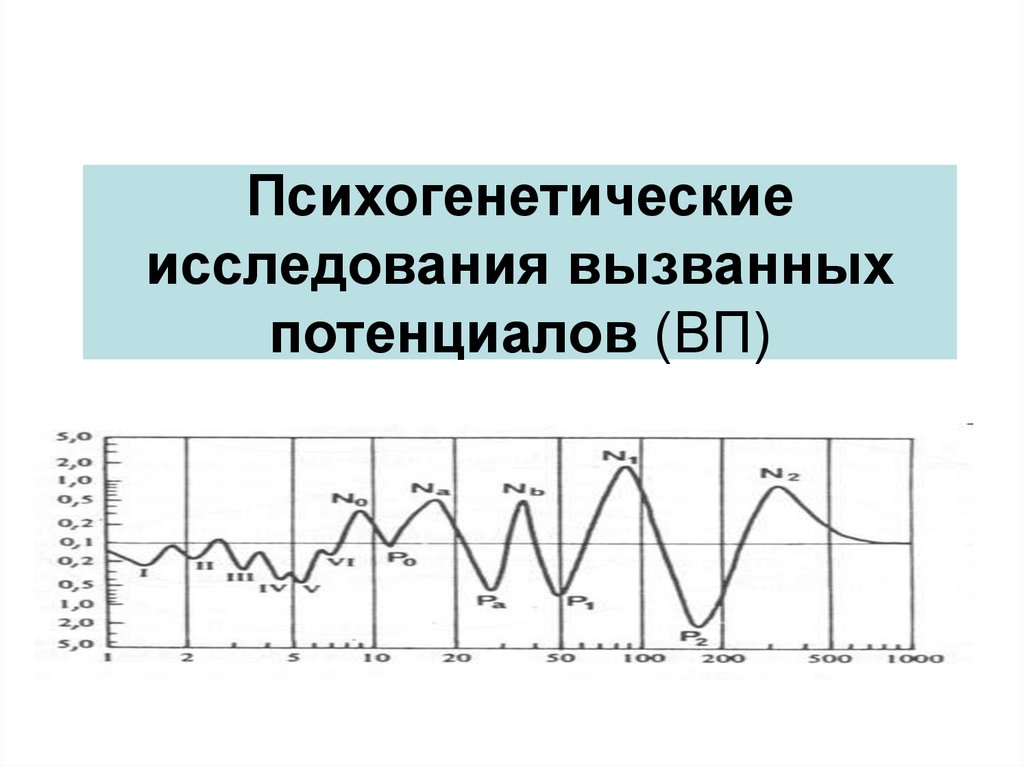 Вызванный исследования. Исследование вызванных потенциалов. Коротколатентные вызванные потенциалы. Исследование вызванных потенциалов в психогенетике. Расшифровка обследования вызванных потенциалов.