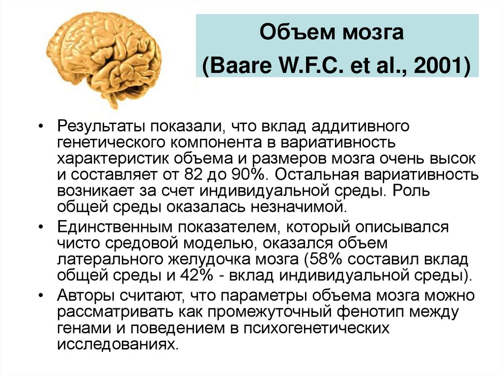 Объем головного мозга наибольшее. Объем мозга. Объем мозга современного человека. Средний объем мозга современного человека. Объем головного мозга человека.