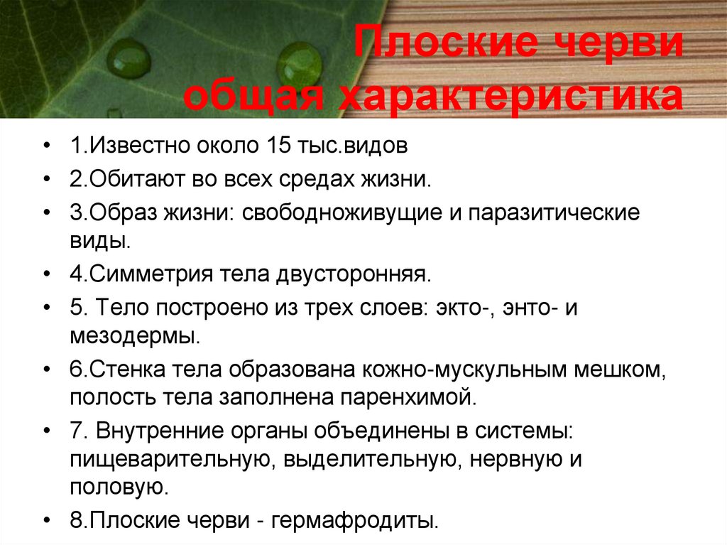 Этапы разработки электронного образовательного ресурса. Этапы проектирования ЭОР. Основные этапы разработки электронных образовательных ресурсов. Основные этапы создания ЭОР.