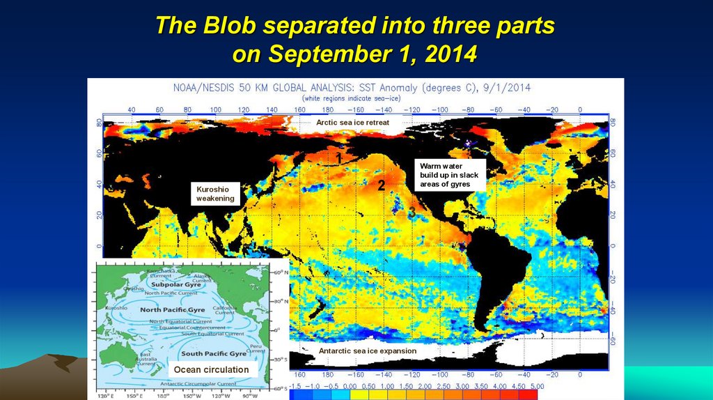 The Blob separated into three parts on September 1, 2014