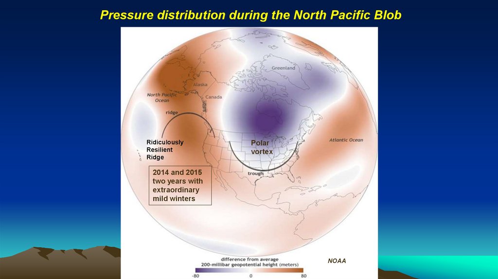 Pressure distribution during the North Pacific Blob