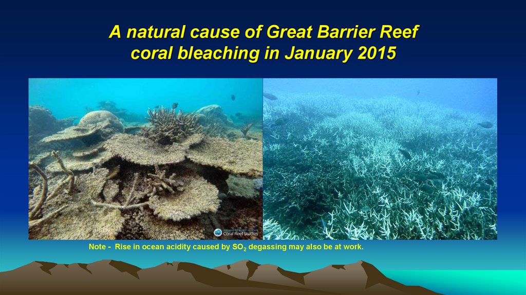 A natural cause of Great Barrier Reef coral bleaching in January 2015