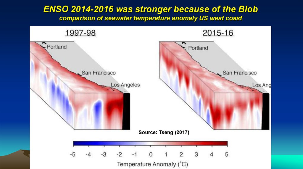 ENSO 2014-2016 was stronger because of the Blob comparison of seawater temperature anomaly US west coast