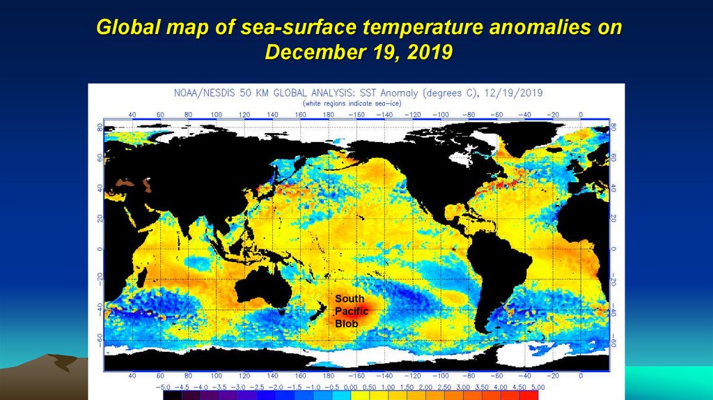 Global map of sea-surface temperature anomalies on December 19, 2019