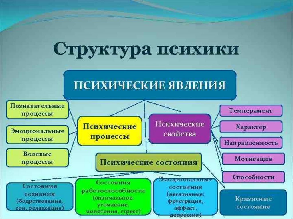 Структура психики схема