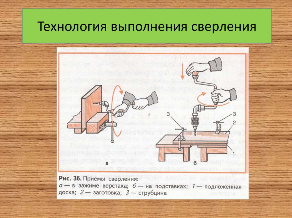 Презентация сверление металла. Инструменты для сверления отверстий технология 5 класс. Технология 5 класс сверление отверстий в деталях из древесины. Технология выполнения сверления. Сверление древесины ручным инструментом.