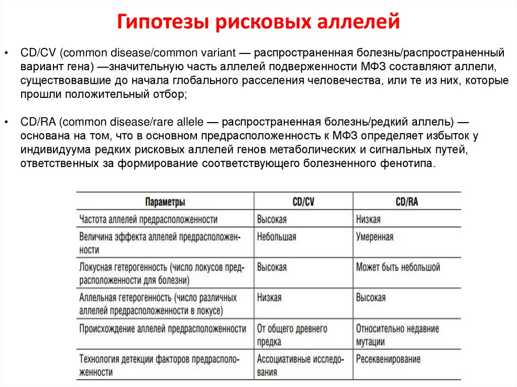 У человека между аллелями генов отсутствия