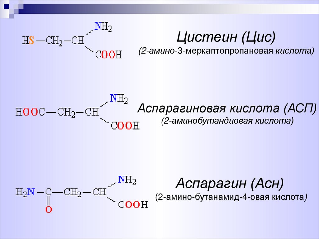 Белки аминокислоты. Химия 9 класс аминокислоты и белки. Белки это природные полипептиды. Аминокислоты презентация.