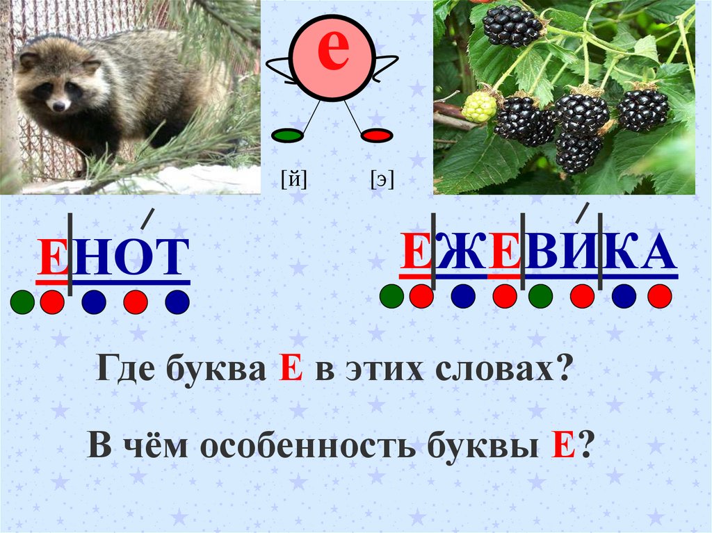 гласные и согласные надо найти - Есть ответ на shkolenet.ru