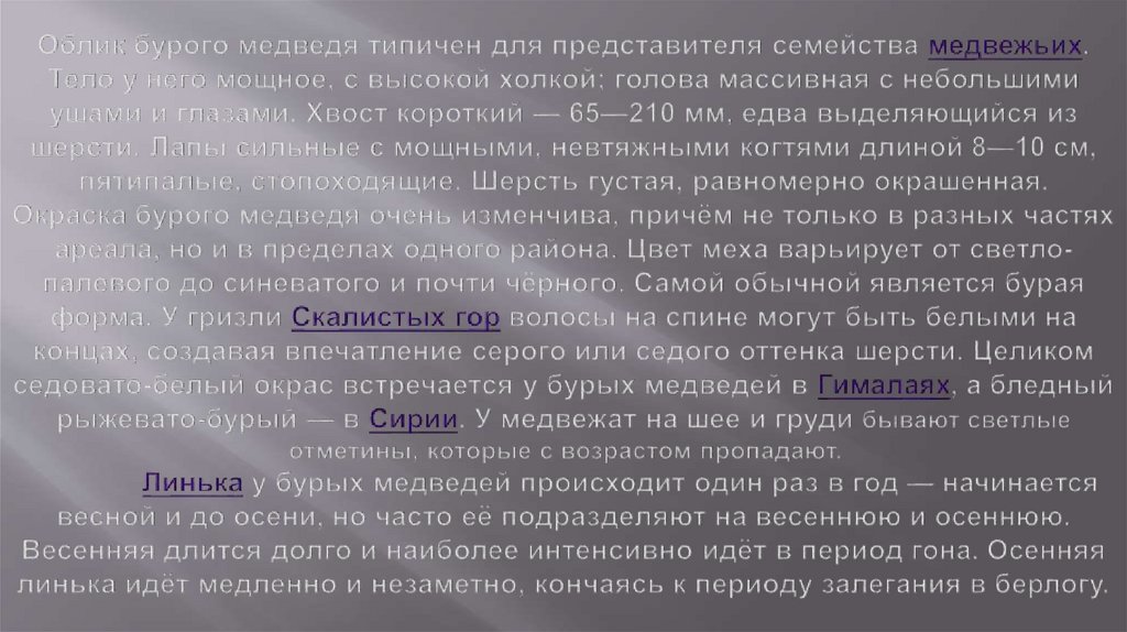 Облик бурого медведя типичен для представителя семейства медвежьих. Тело у него мощное, с высокой холкой; голова массивная с