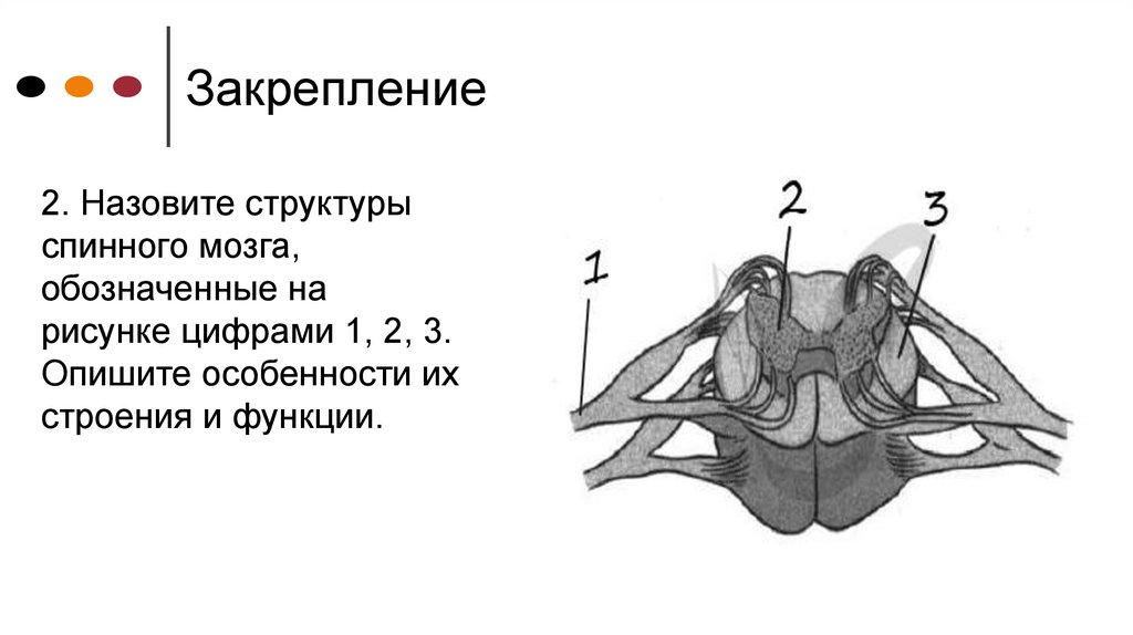 На рисунке цифрой 6 обозначено