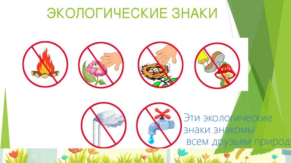 Эти экологические знаки знакомы всем друзьям природы