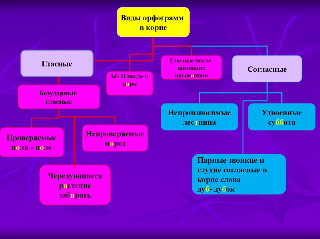 Приложение какая орфограмма в слове