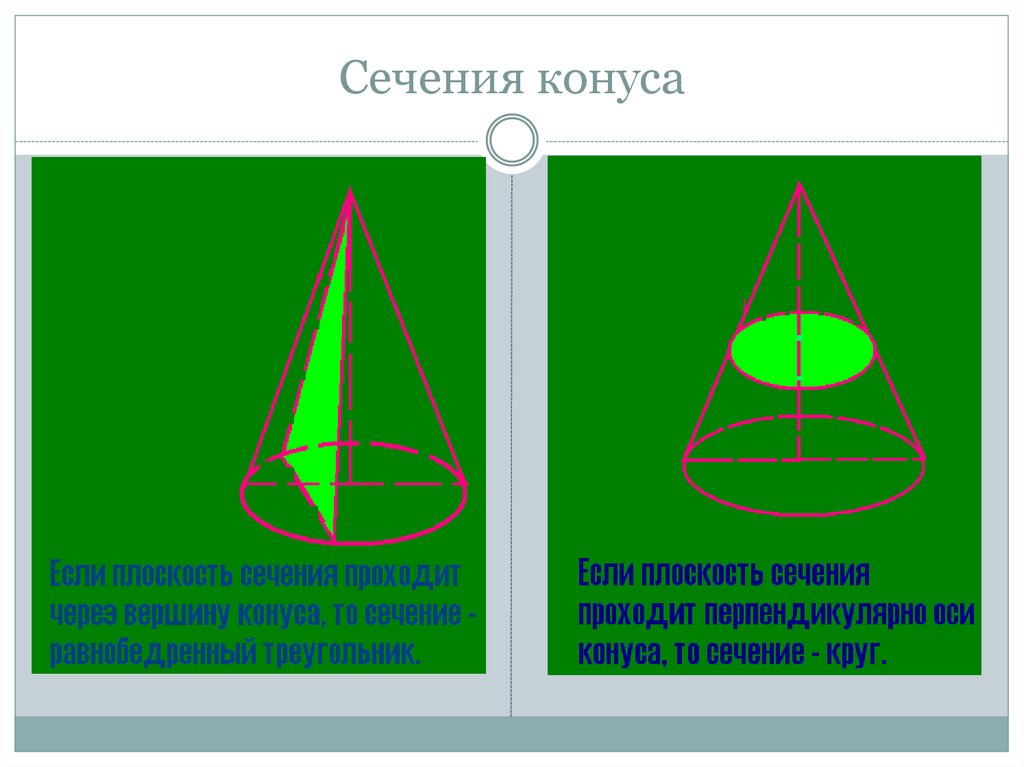 Боковое сечение конуса