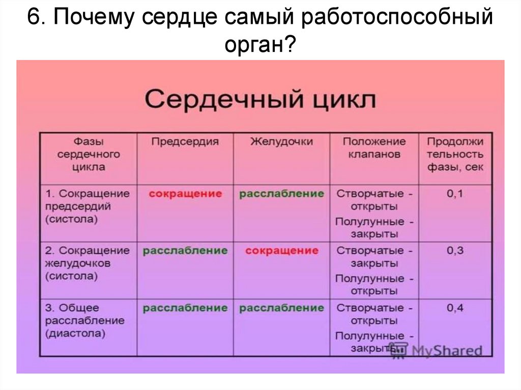 почему сердце выбирает. сердце решает кого любить. почему сердце рисуют именно такой. выбор сердцем. почему сердце бьётся.