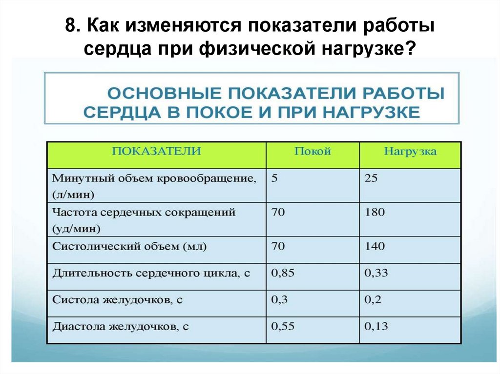 8. Как изменяются показатели работы сердца при физической нагрузке?