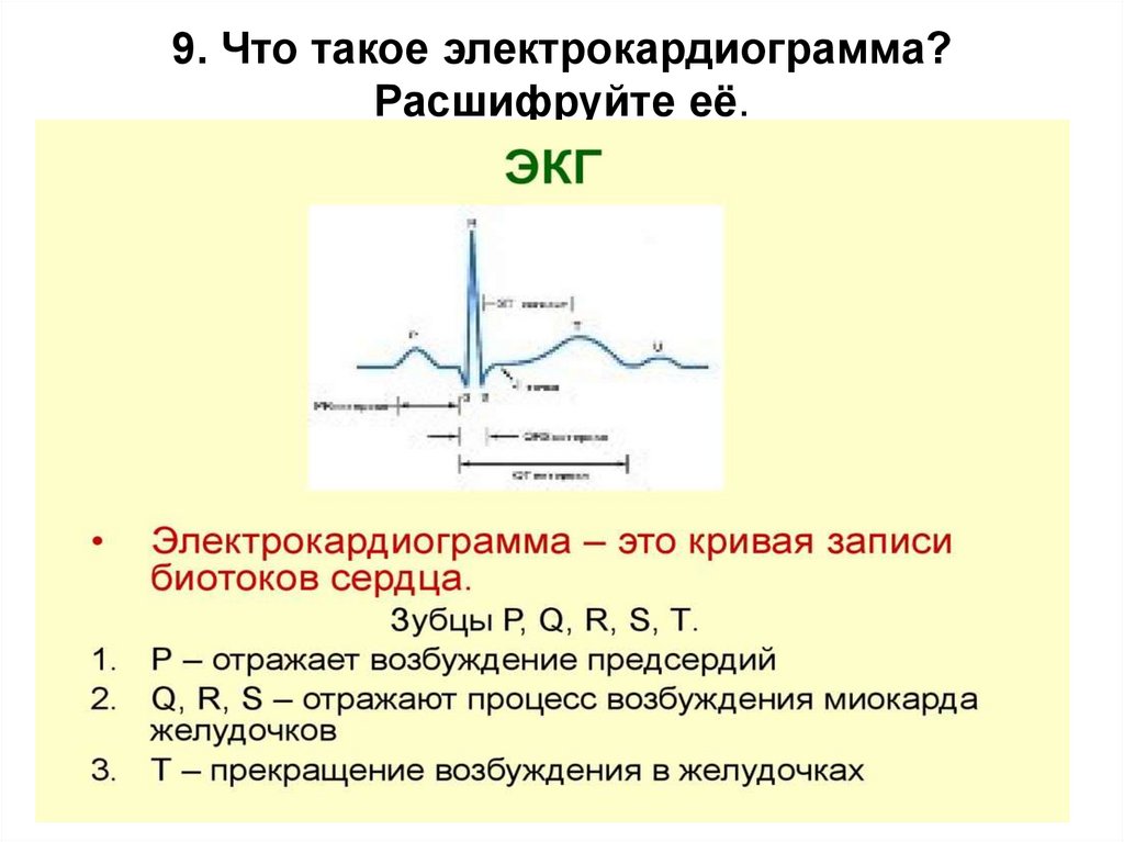 9. Что такое электрокардиограмма? Расшифруйте её.