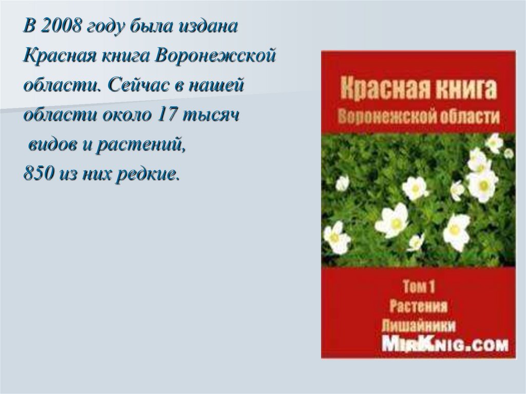 Растения красной книги проект 2 класс. Красная книга Воронежской области книга. Растения красной книги Воронежской области. Цветы красной книги Воронежской области. Красная книга Воронежа растения.