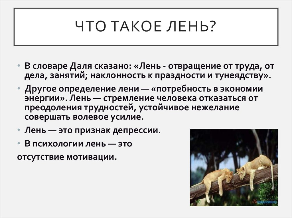 Кто не знает что такое лень