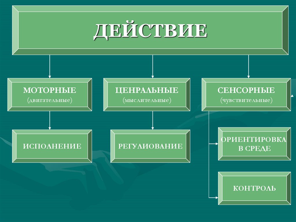 Типу действия. Виды действий деятельности. Виды действий человека. Виды действий в психологии. Действия моторные центральные сенсорные.