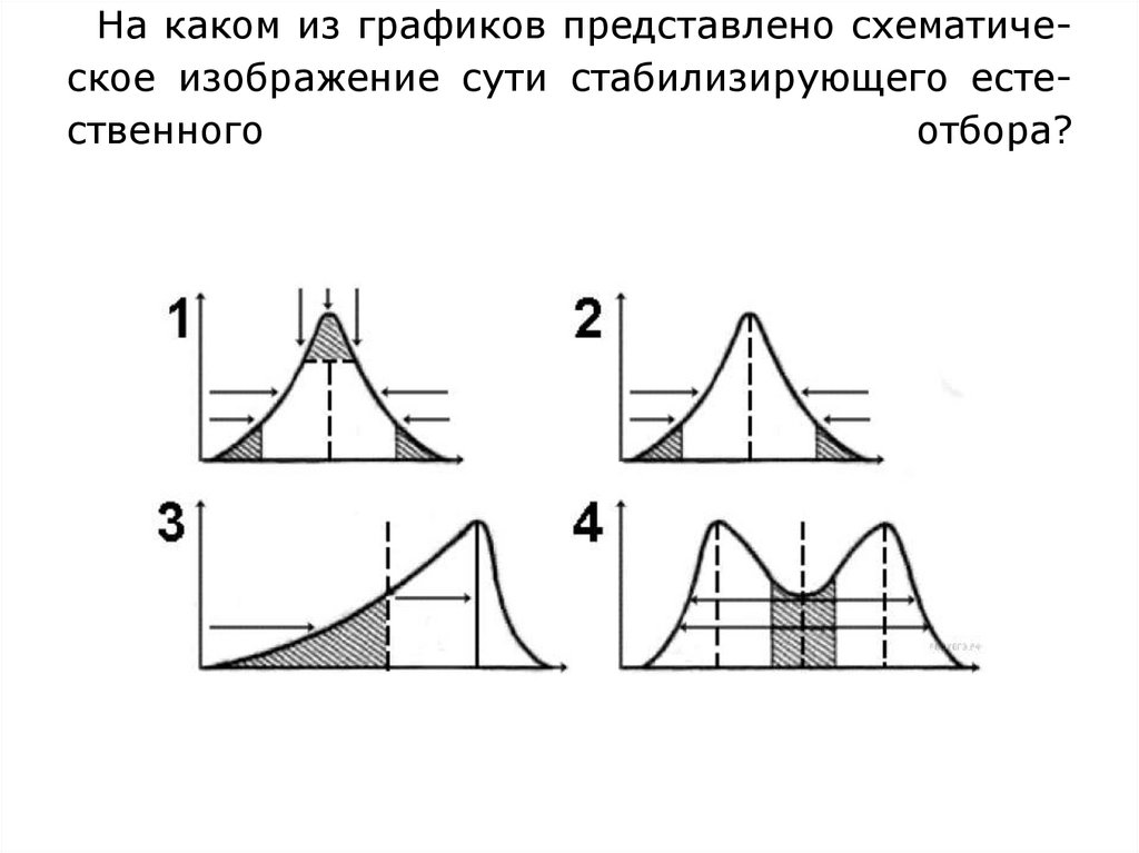 На рисунке представлен схематичный вид графика