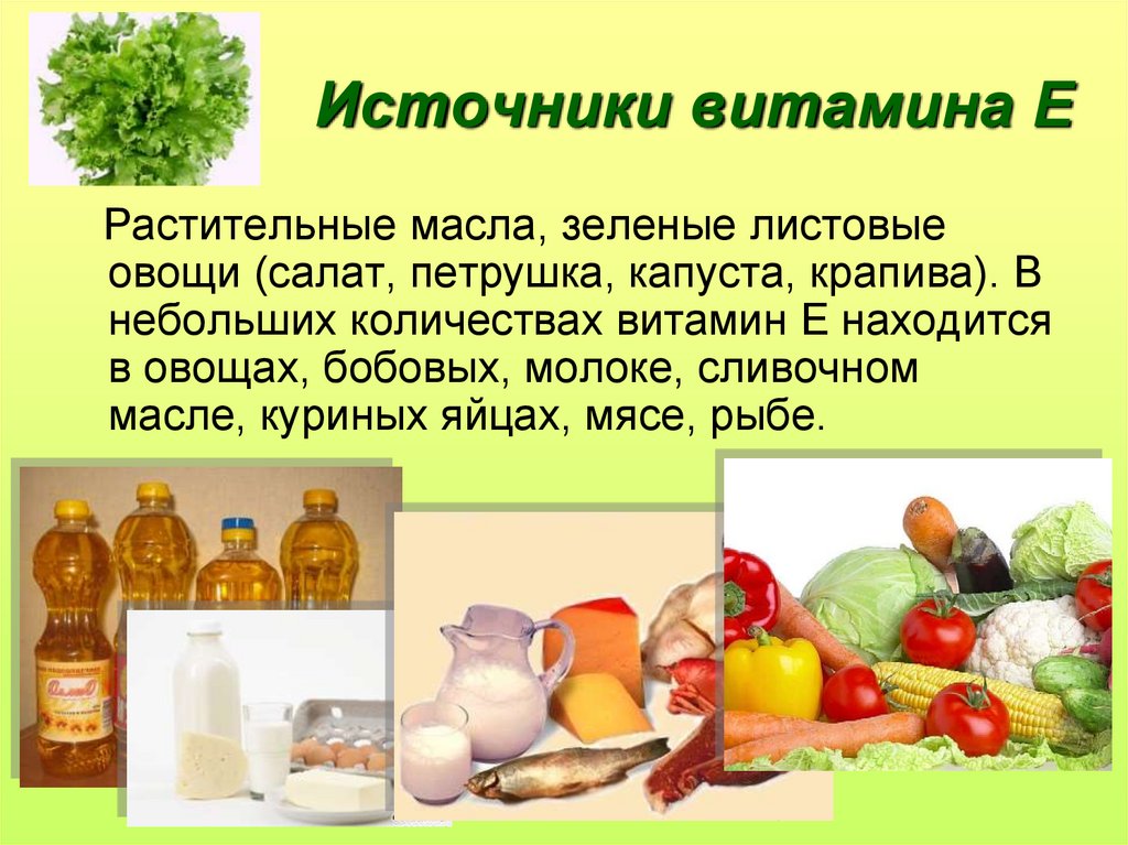 Какие продукты являются источником витамина c. Источники витамина с. Основные источники витамина с в питании. Источники витамина е. Источники витаминов для человека.