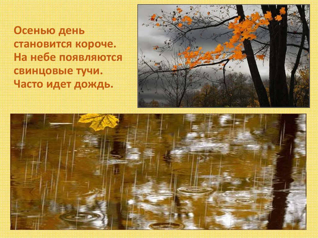 Летом дни становятся длиннее. День становится короче осенью. Осенью часто идут дожди. Часто идут дожди. Пасмурный холодный осенний день.