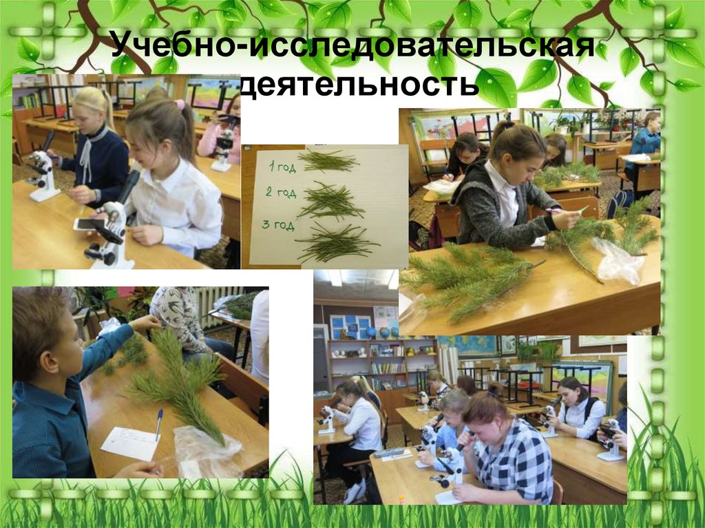 Учебно-исследовательская деятельность