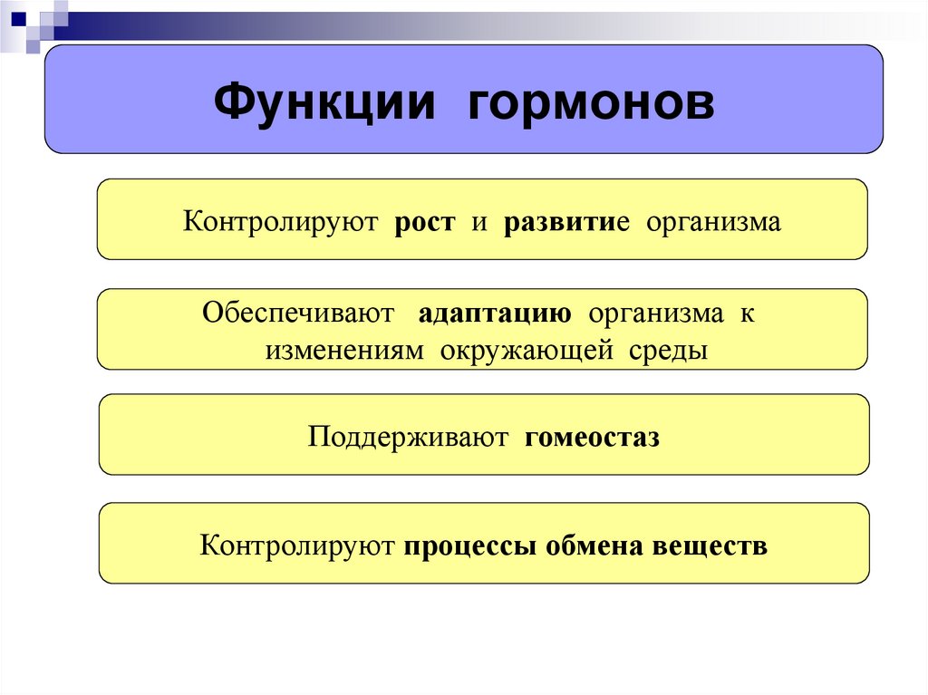 Проект на тему гормоны и их функции