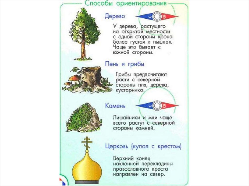 Презентация на тему правила ориентирования на местности