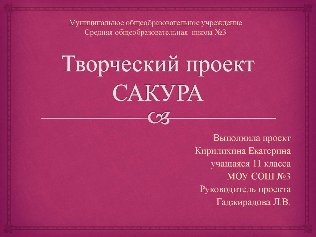 программа кружка 