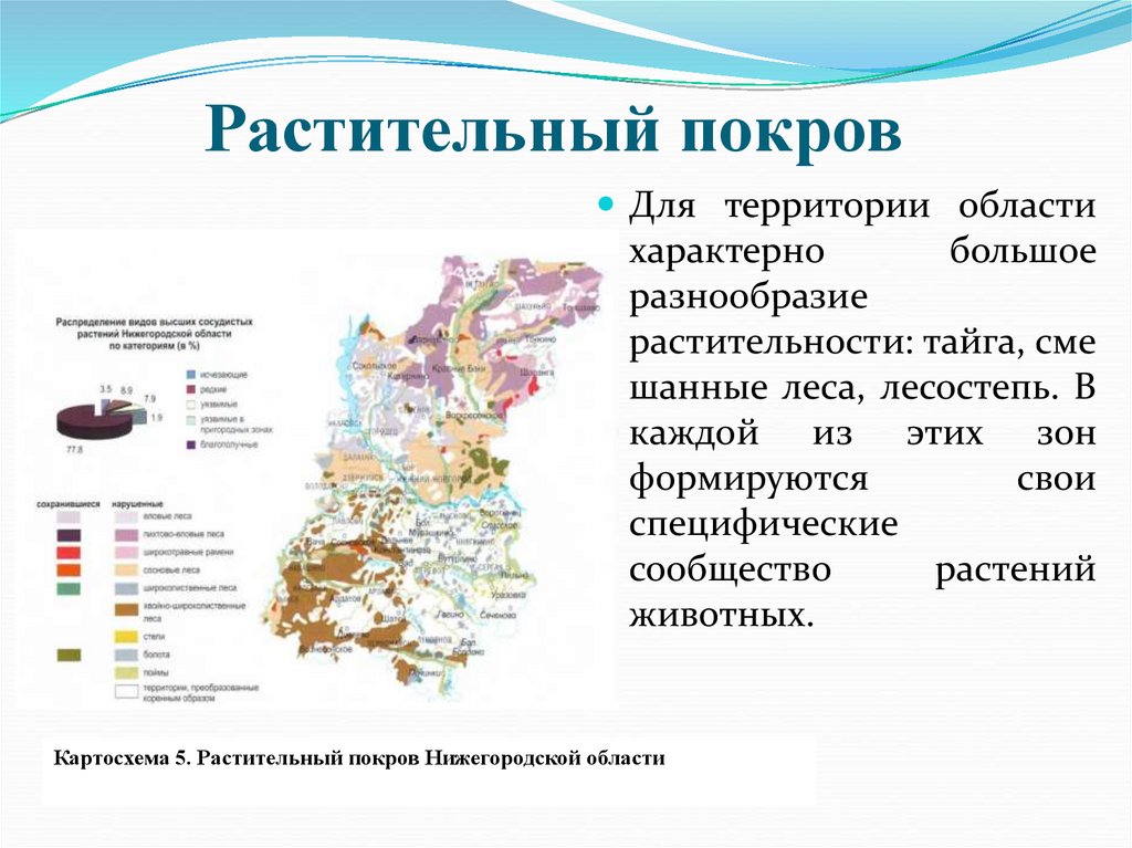 Мир нижегородская область. Карта растительного Покрова Нижегородской области. Карта растительности Нижегородской области. Растительный мир Нижегородской области. Растительный Покров Нижегородской области.