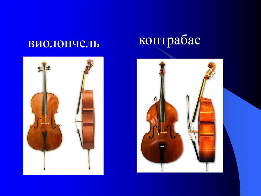 Чем контрабас отличается от виолончели фото