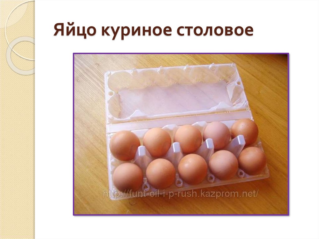 Презентация яйца и яйцепродукты