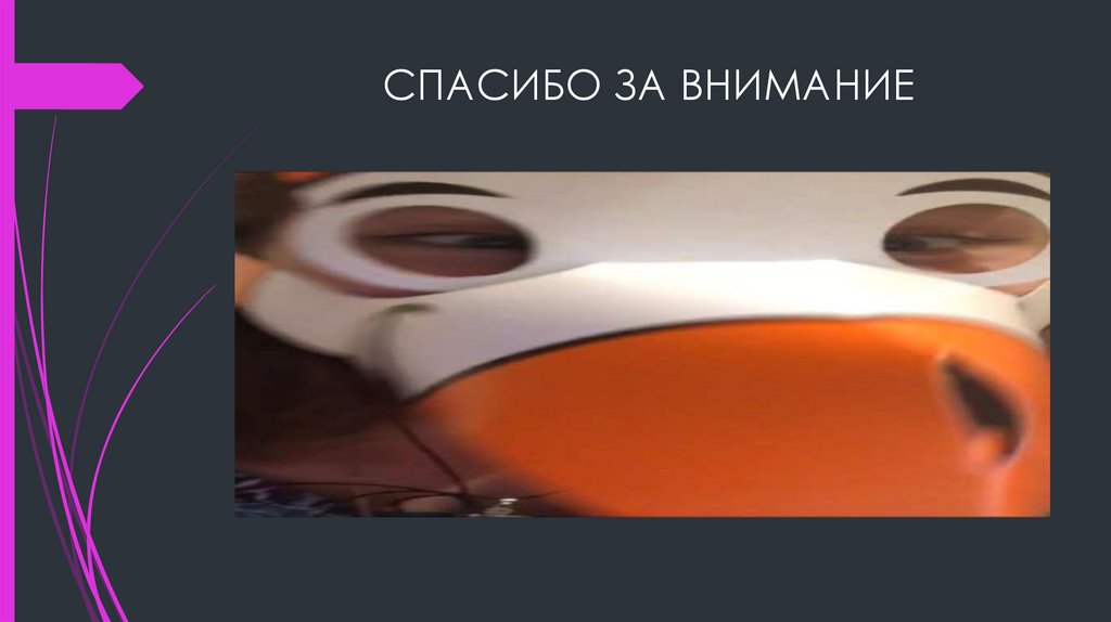 СПАСИБО ЗА ВНИМАНИЕ