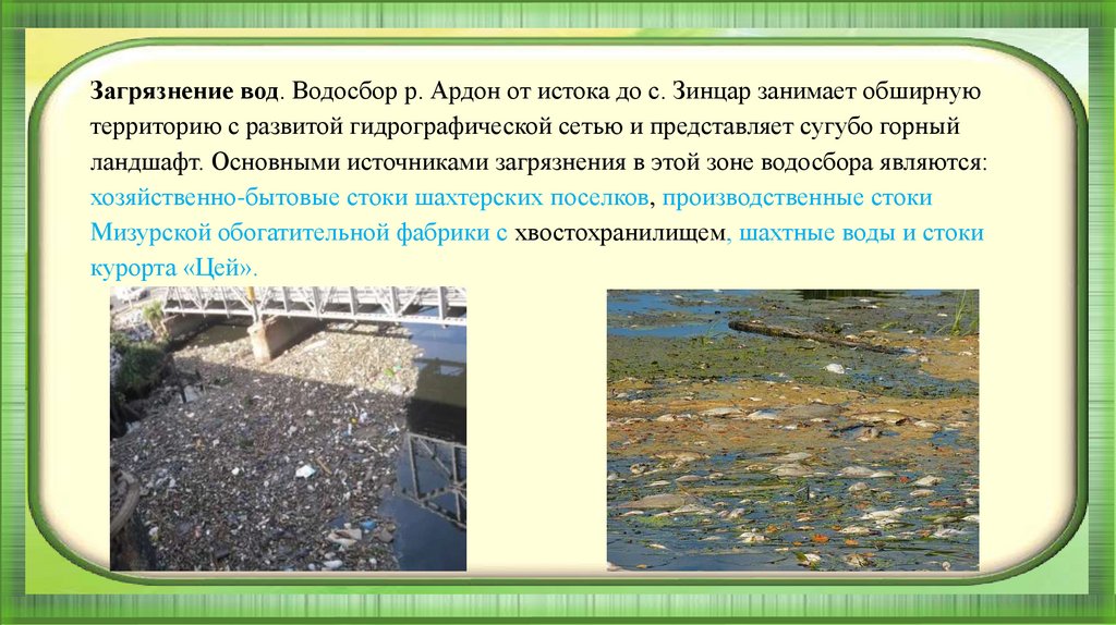 Экологические проблемы нашего края. Самооценка проекта. Проблема родного места. Проблемы экологических проблем. Проблемы для сочинений с природой.