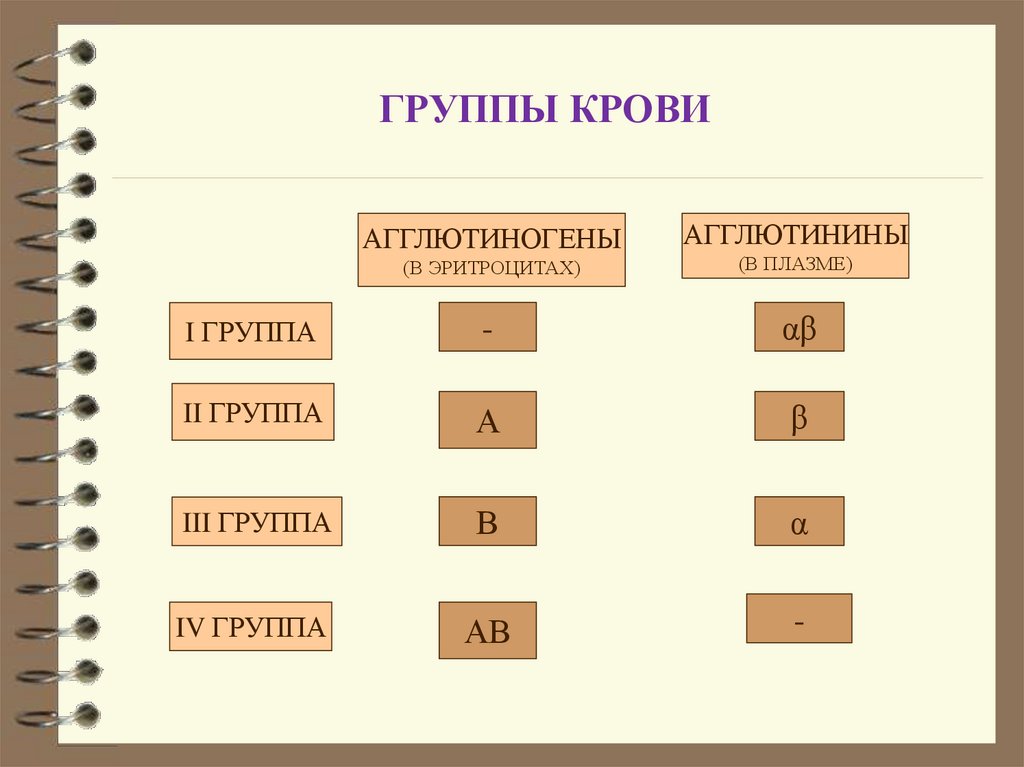 ГРУППЫ КРОВИ
