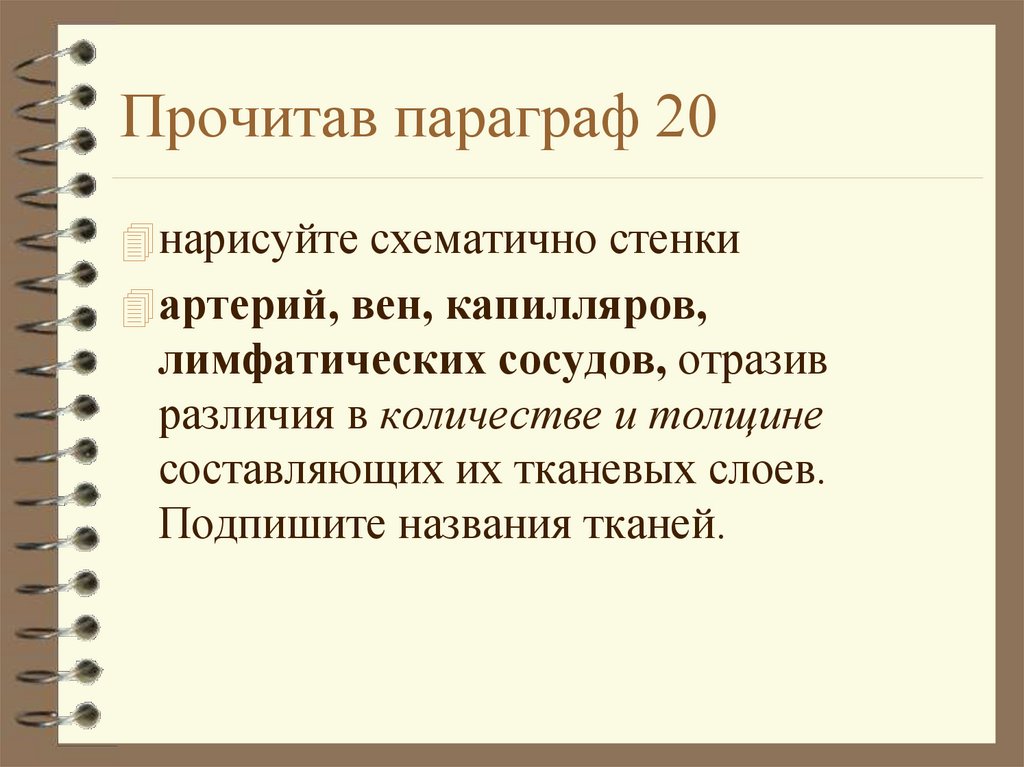 Параграф 20